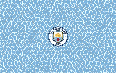 乐鱼电竞快讯-以色列篮球联赛总决赛MVP归属悬念